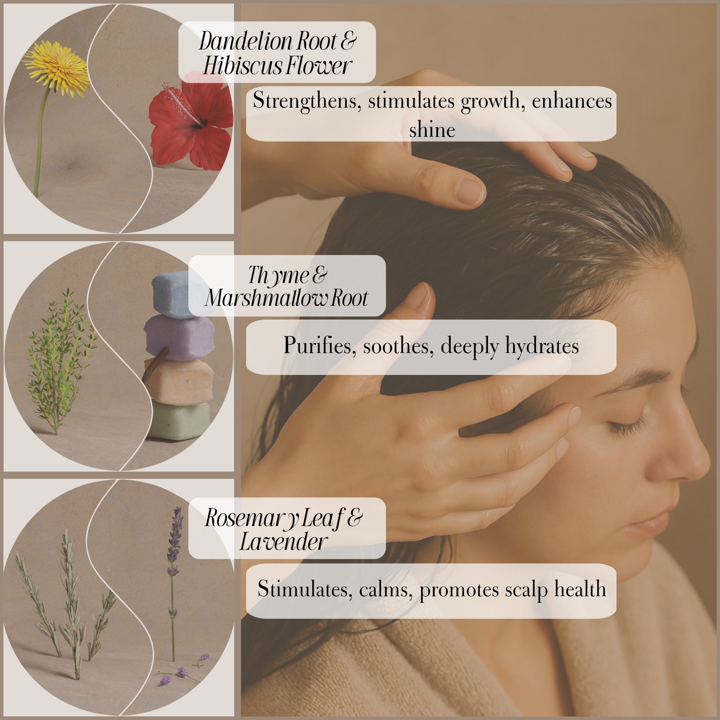 Root Revival Oil (60ml)